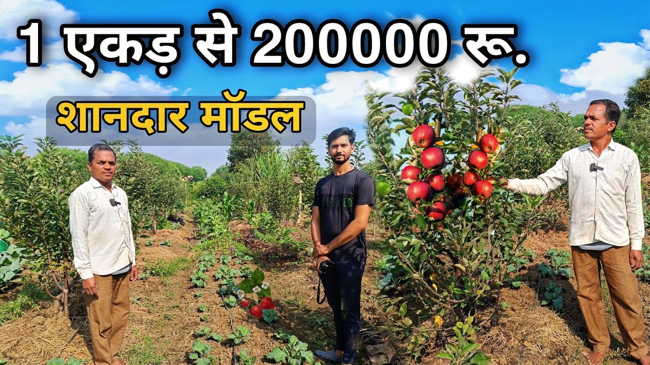 One Acre se 2 lakh ki selling। छत्तीसगढ़ में सेब (apple) की खेती का एक एकड़ का शानदार मॉडल।