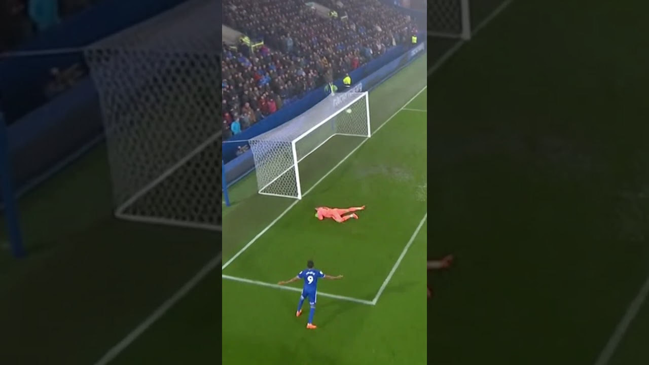 Панда мешает киперу &mdash; и это гол 🐼⚽