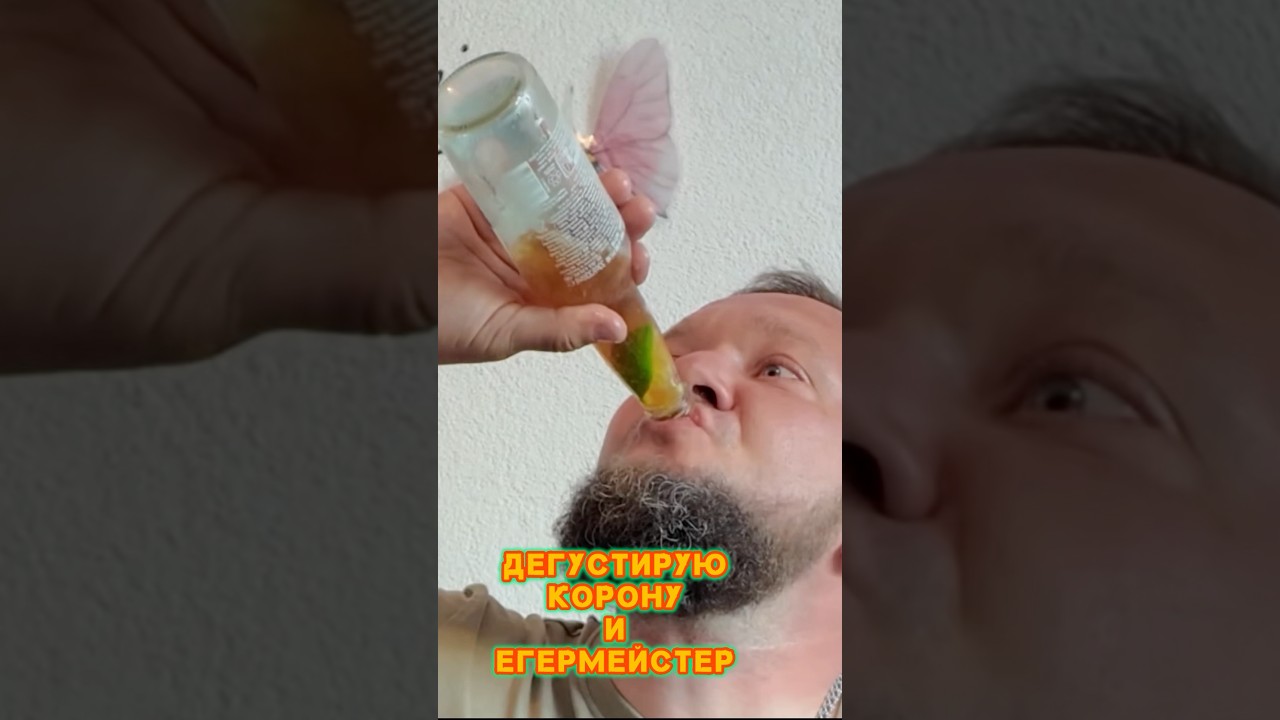 Корона и егермейстер дегустация #дегустация