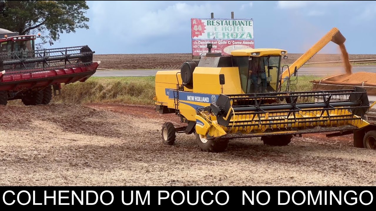 COLHEITA DO SOJA - FALTANDO APENAS 2 DIAS PARA FINALIZAR
