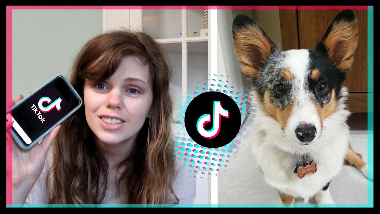 RECREATING TIKTOK VIDEOS WITH MY ANIMALS! | MILLENNIAL finally takes the JUMP into the TIK TOK TREND