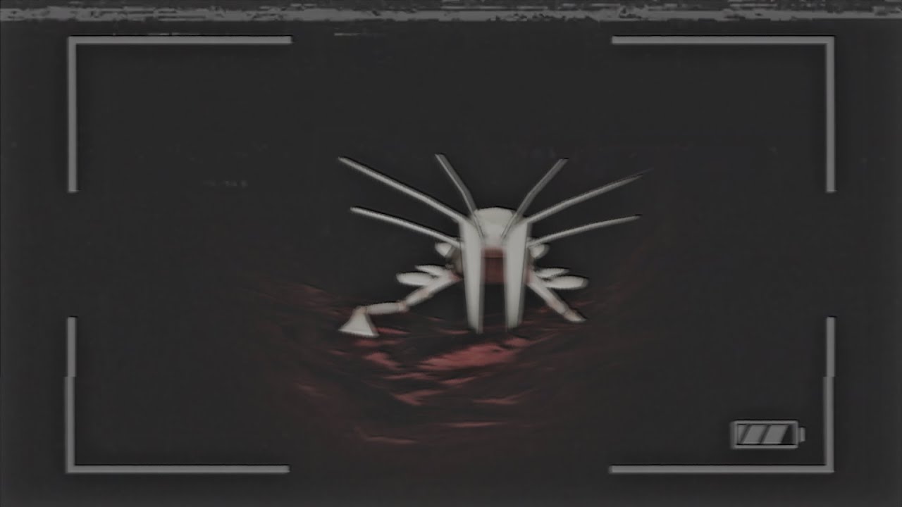 Roblox Mystery Flesh Pit July 4th, 2007 Disaster (Found Footage)