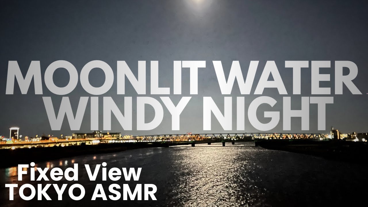 ASMR Windy Night Sounds for Sleep | Deep White Noise & Moonlight (Fixed Point) 