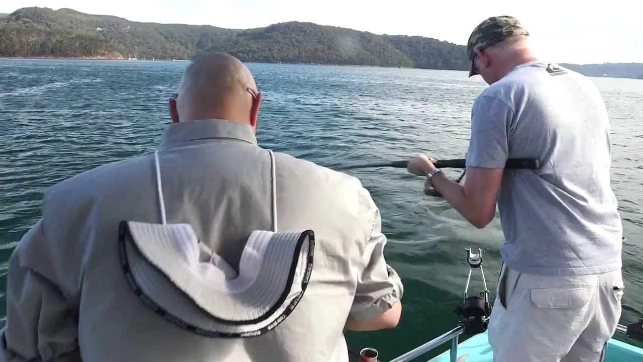Fishing Tips: King Fish