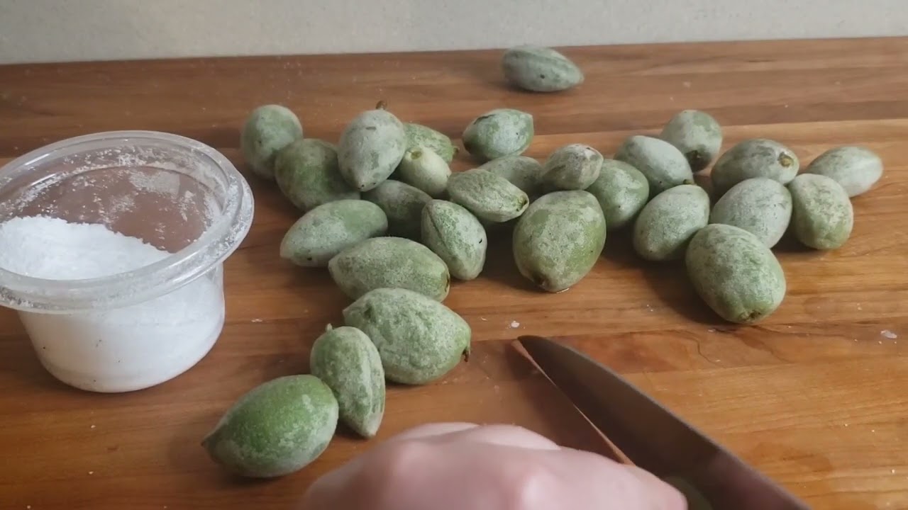 Exotic Fruits | Episode 8 Green Almonds