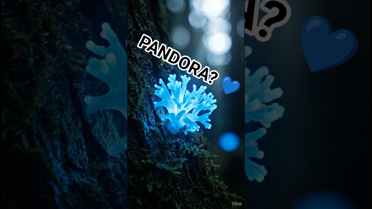 Found Pandora on Earth 💙🌿