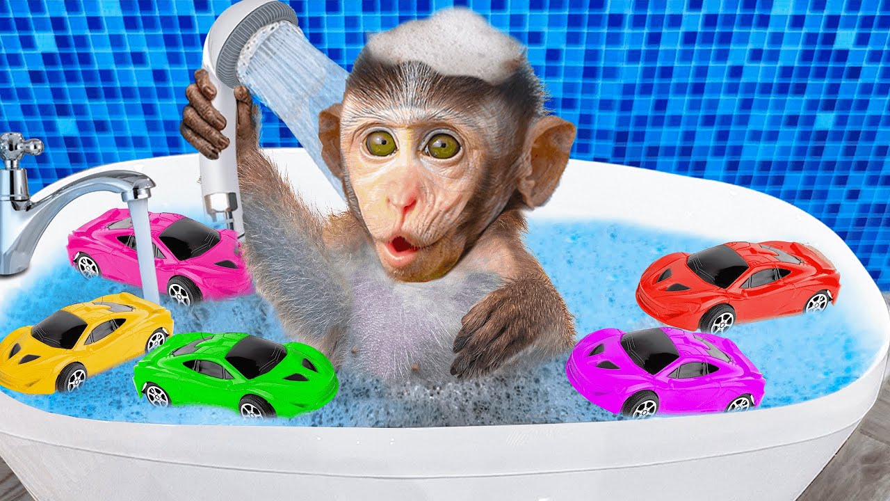 Baby Monkey Chu Chu Goes Fishing By The Stream And Eats Fruit With Puppies In Garden