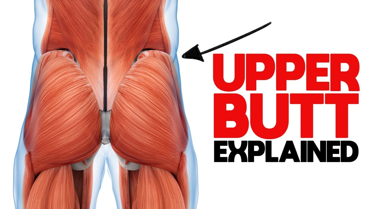 UNLOCK YOUR GLUTES - What You NEED to Know About the Gluteus Medius