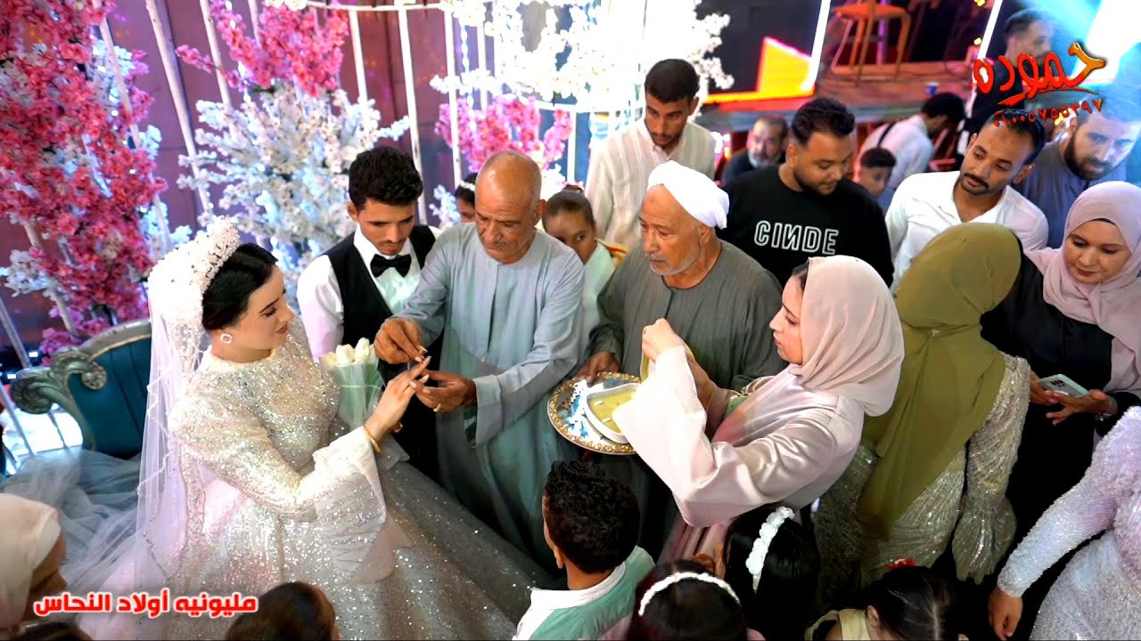 اسلام البرنس و محمد مطيع 👌2024😍 مليونيه أولاد النحاس - القصاصين . الأسماعليه
