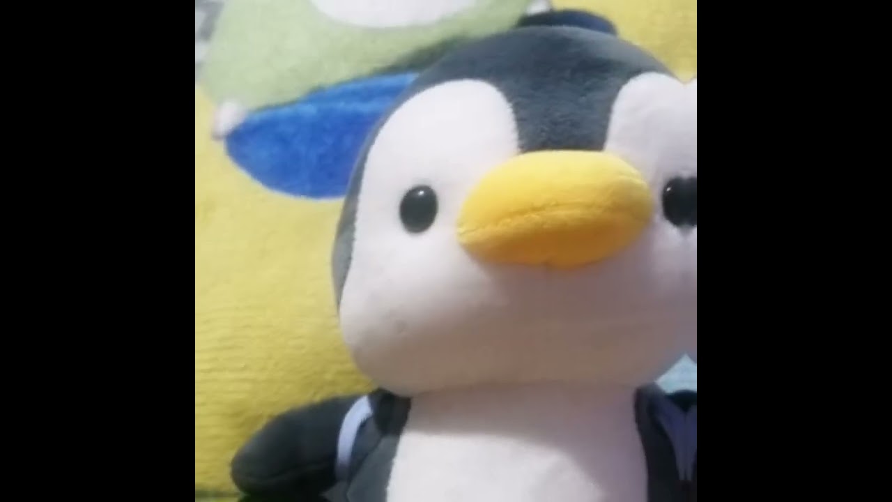 pingüs y pincus y lixcapibara