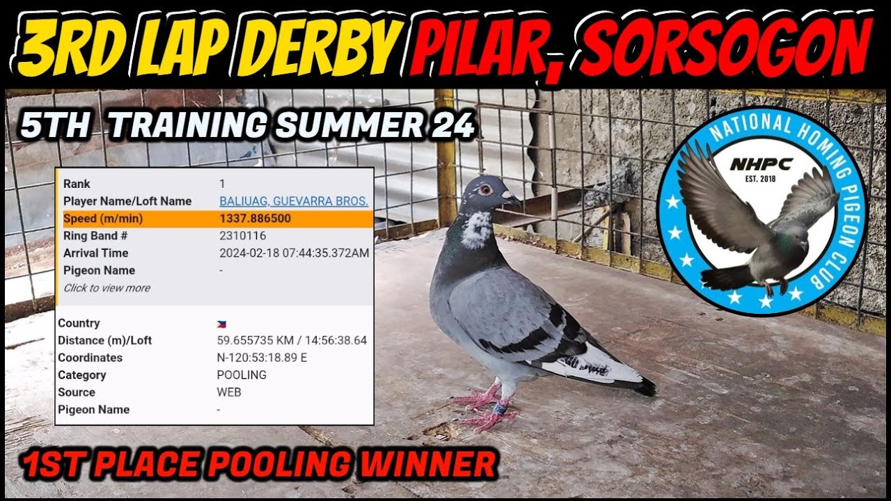 NAPAGAPANG SA PAGOD SI 839 3RD LAP DERBY NHPC PILAR SORSOGON, PANALO SI 116 SA POOLING SUMMER 24