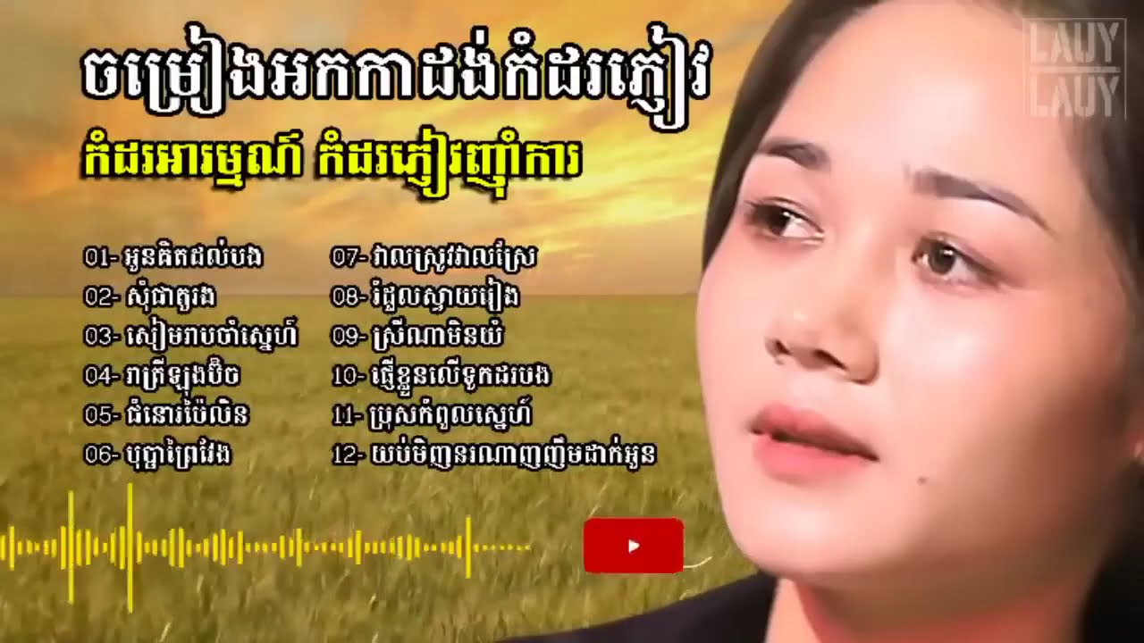 ចម្រៀងអកកាដង់កំដរភ្ញៀវកំដរអារម្មណ៍,កំដរភ្ញៀវញុាំការ