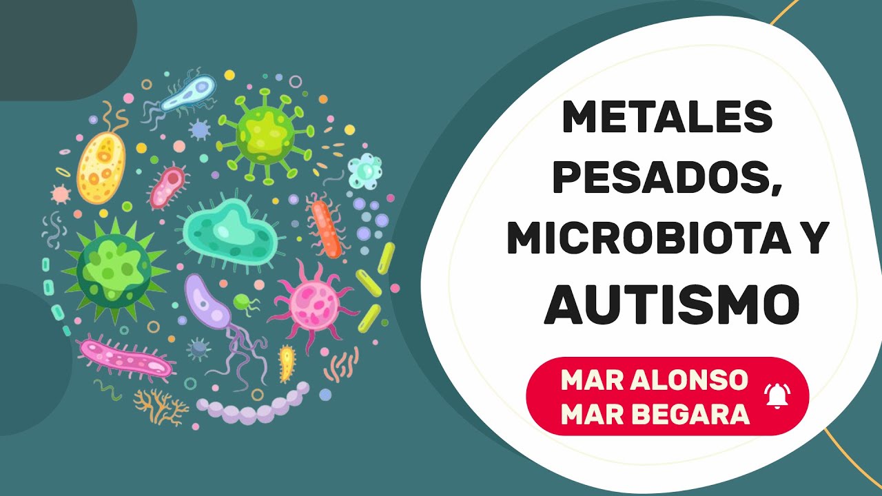 Exposición a metales pesados, microbiota y Autismo - Mar Alonso y Mar Begara