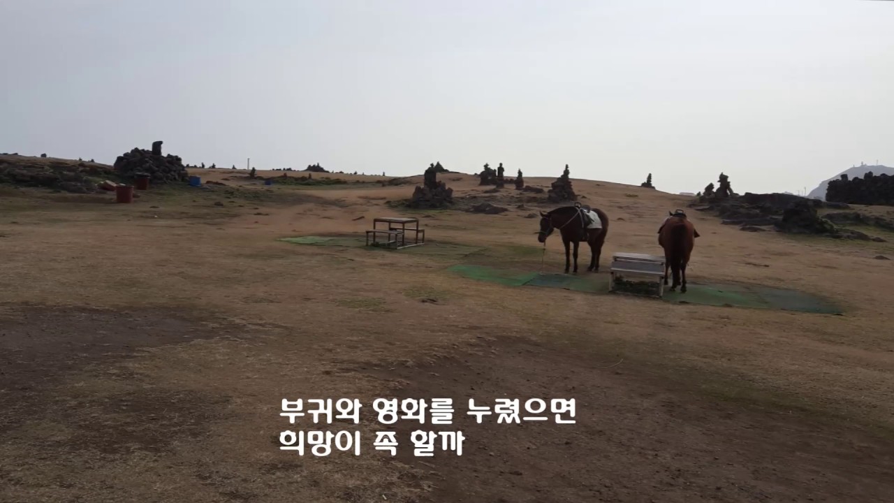 이풍진세상을만났으니~~ 