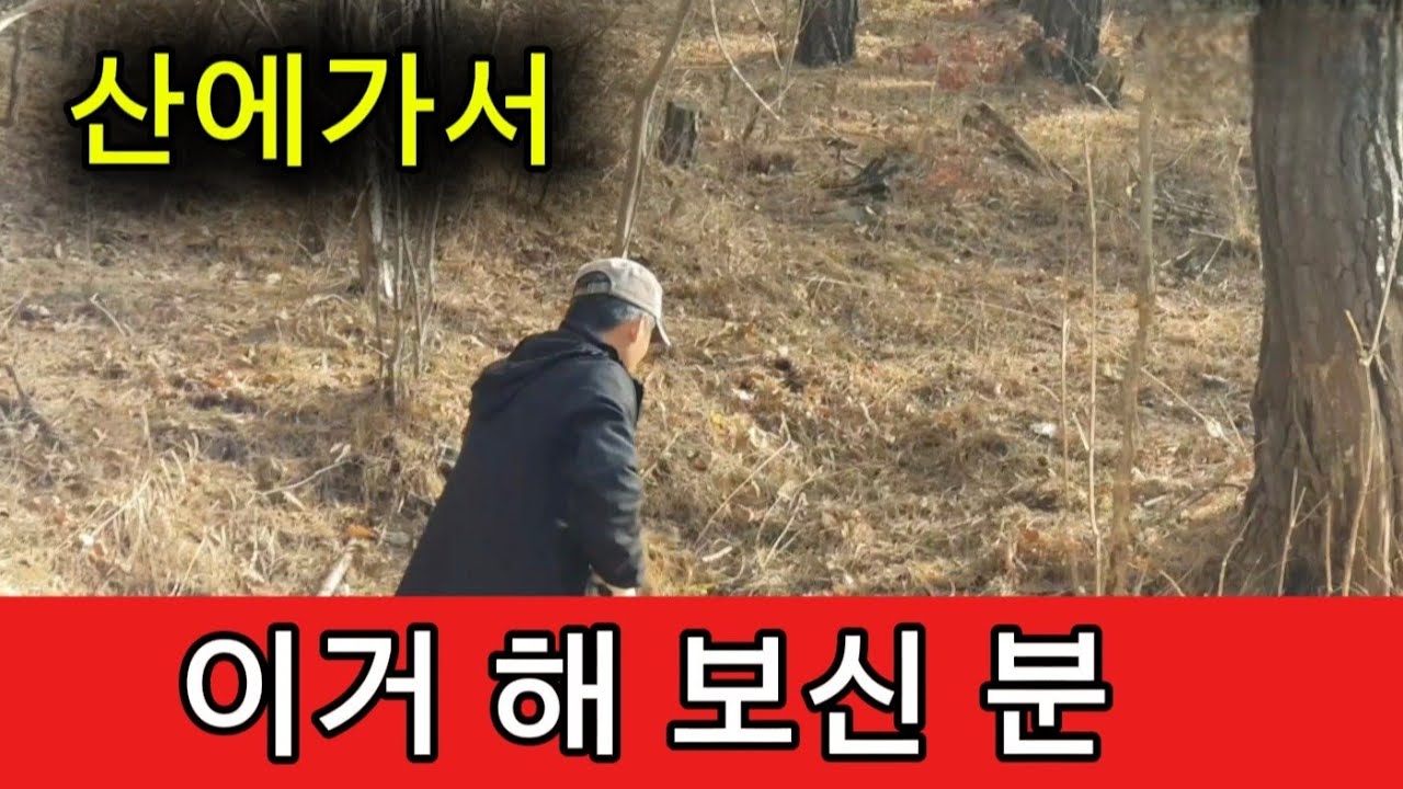 산에 가서 이런거 해 보신분 ~