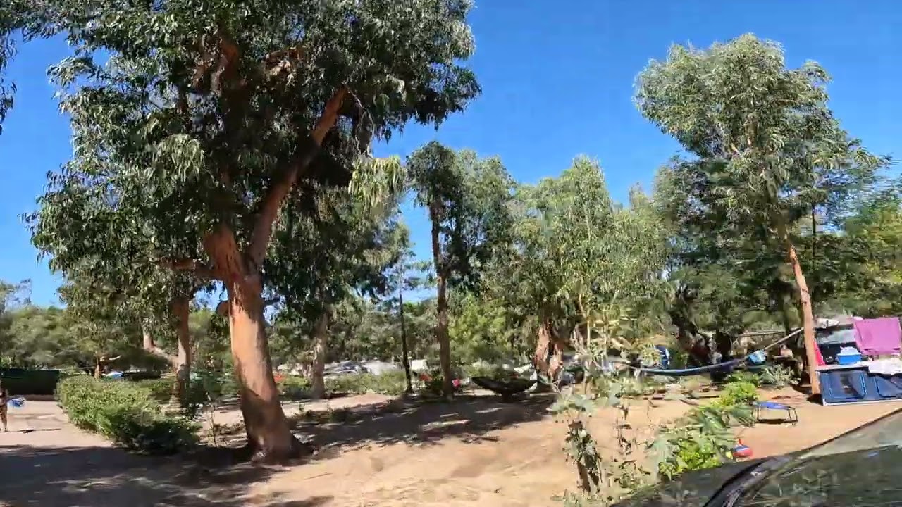 Bodri Campground 22