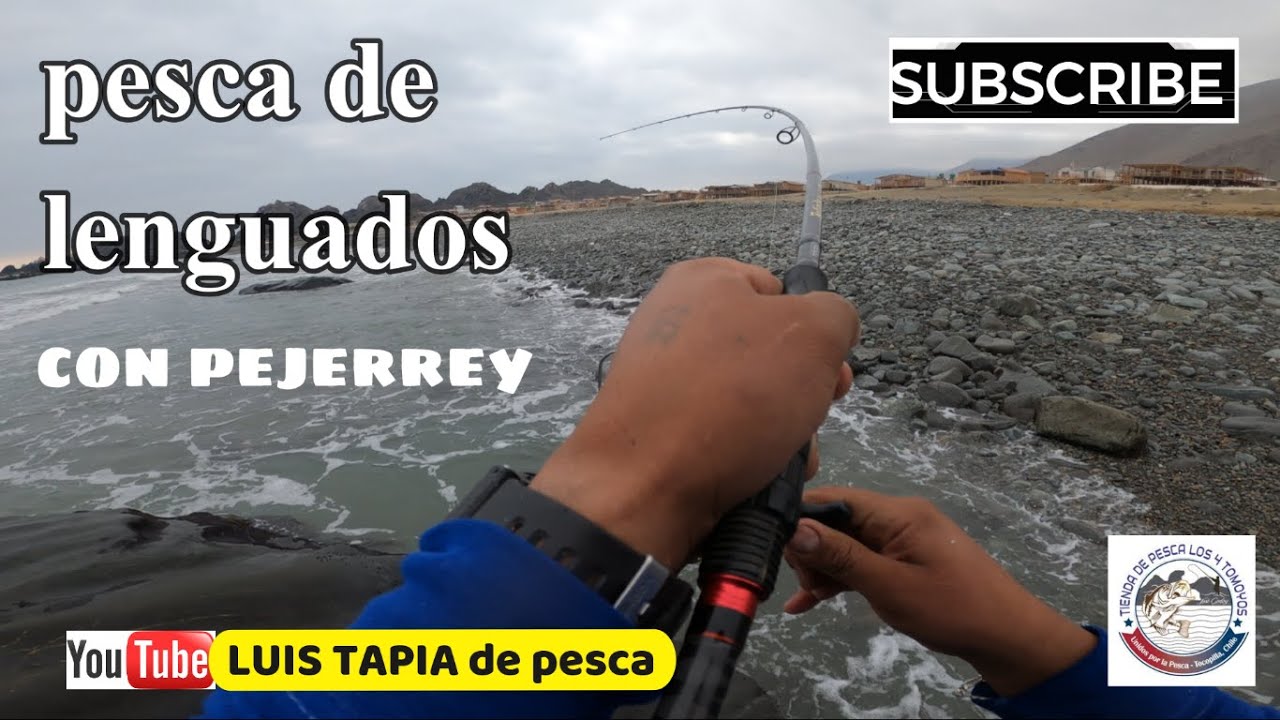 PESCA CON PEJERREY AL REPUNTE DE BAJA