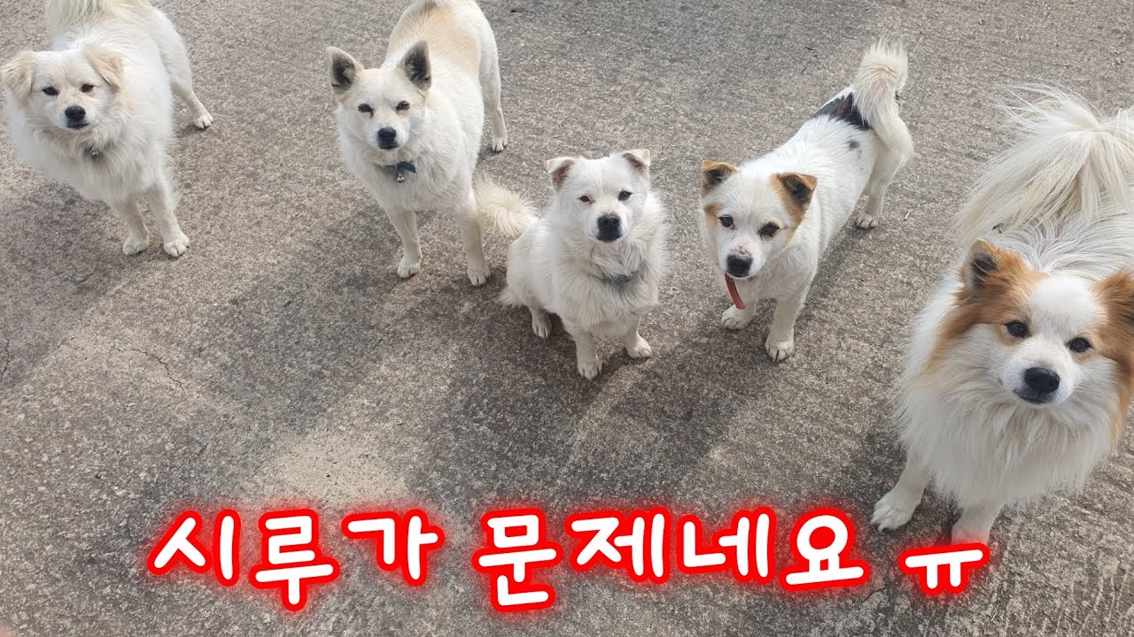 개과천선 7일차