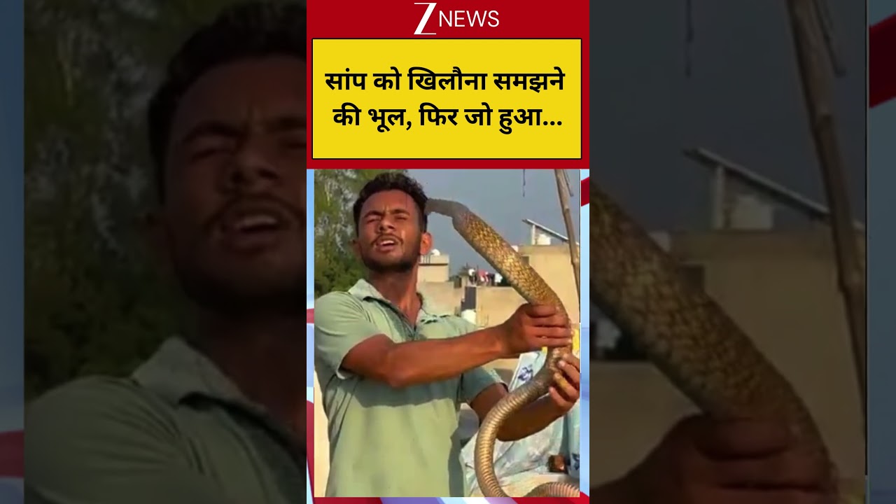 Viral Shocking Video: सांप को खिलौना समझने की भूल, फिर जो हुआ...