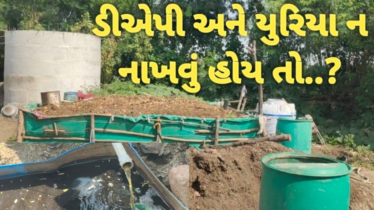 ડી.એ.પી અને યુરિયા પાકને નથી આપવું તો તમે પણ બનાવો આ ખાતર.