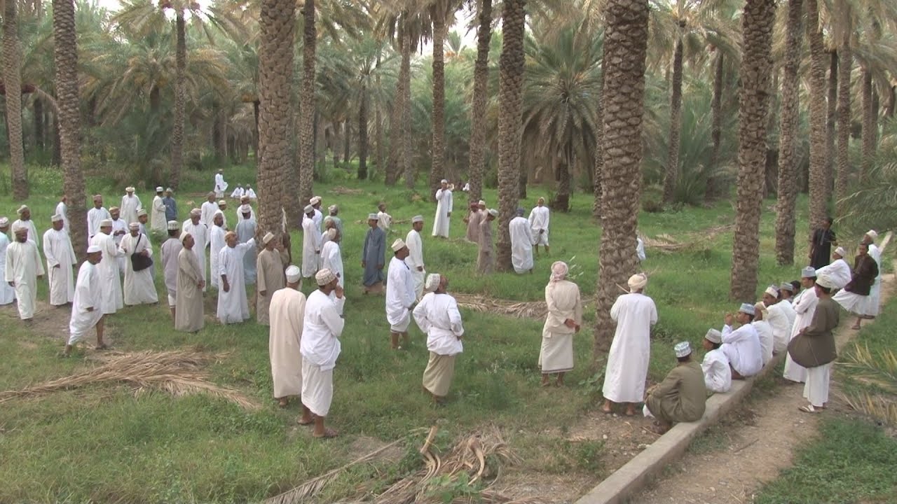 موسم طناء النخيل بولاية الحمراء لعام 2016 م