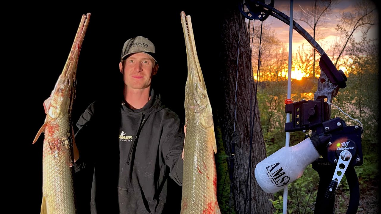 Bowfishing MASSIVE gar with the NEW AMS HOOLIGAN V2
