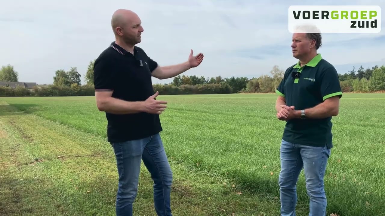 Haal het maximale uit najaarsgras! (2/3: Vers voeren)