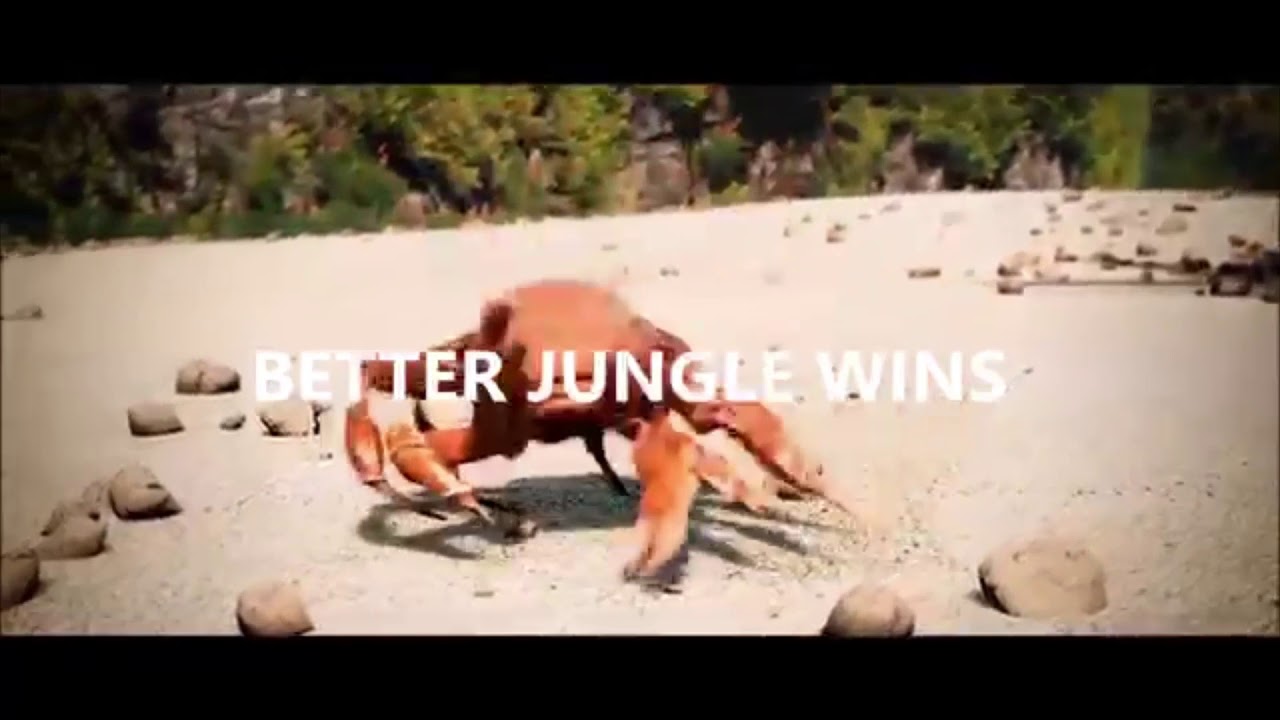 BETTER JUNGLER WINS (BETTER JG WINS)