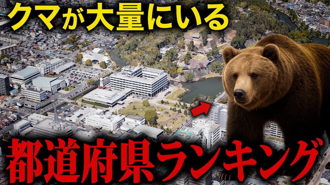 【空から解説】クマがガチで大量にいる都道府県ランキングTop15