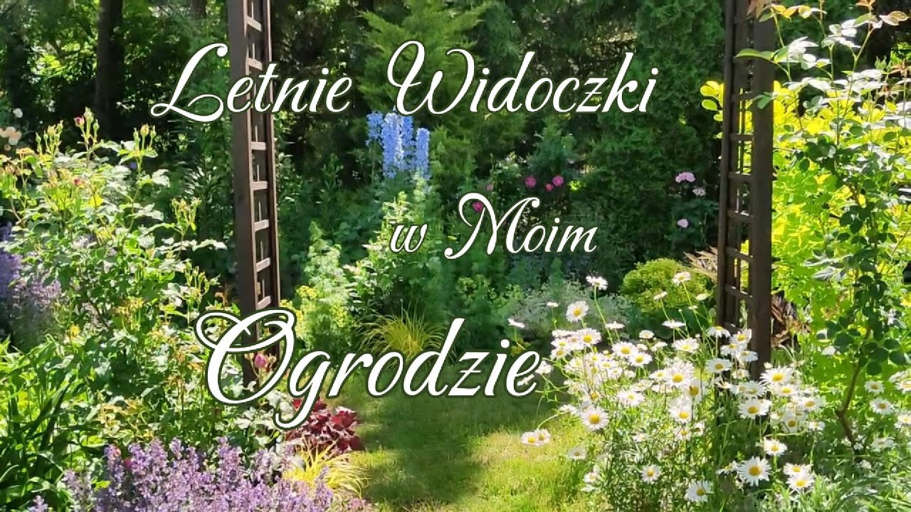 2. Letni spacer wśród kwiatów i pięknych zapachów :)