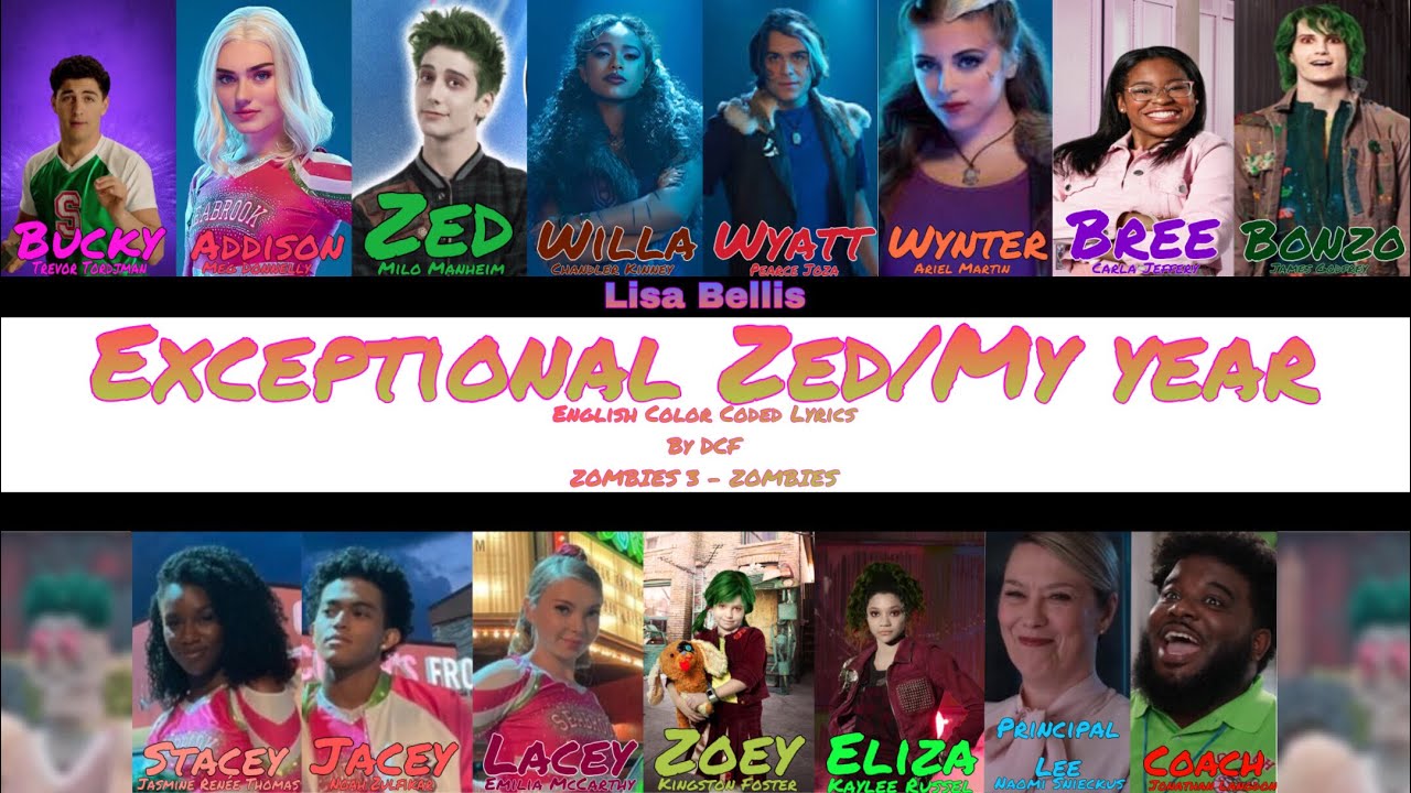 Exceptional Zed/My year (mashup) by @dcfmashups  (Color Coded Lyrics)
