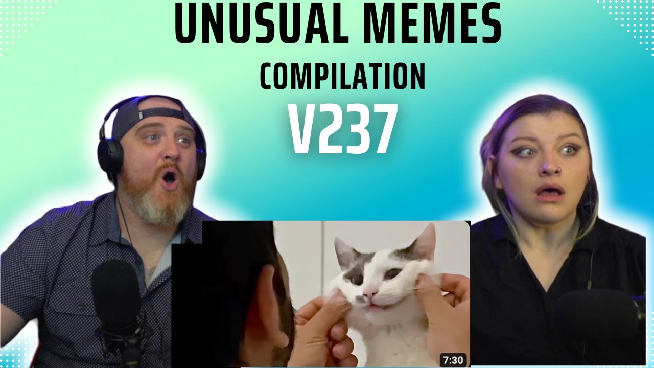 UNUSUAL MEMES COMPILATION V237 | HatGuy & @gnarlynikki React
