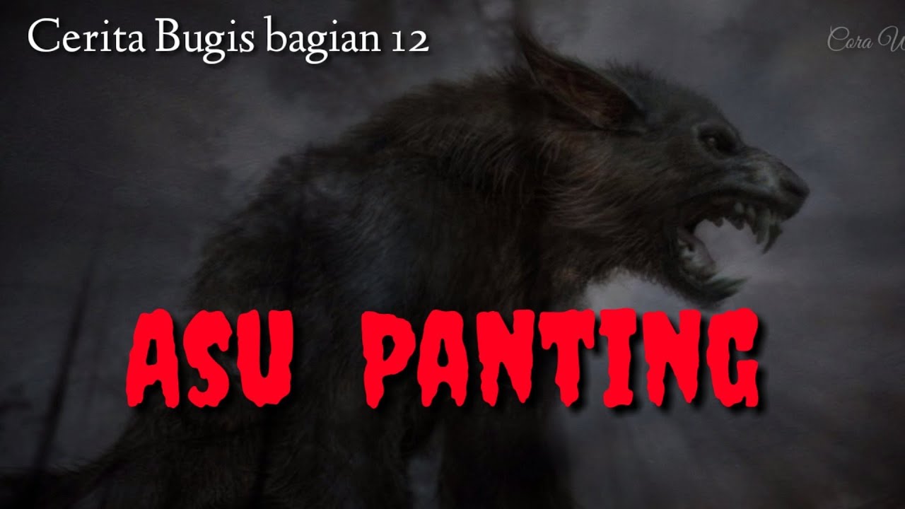 Cerita Bugis 13 - Asu Panting