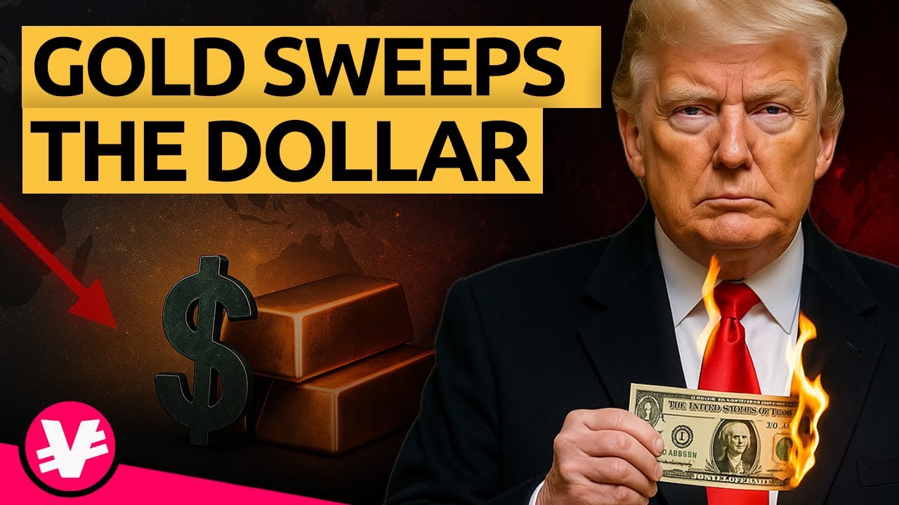 GOLD is Sinking the US Dollar: Central Banks Rebel Against America | @visualeconomiken