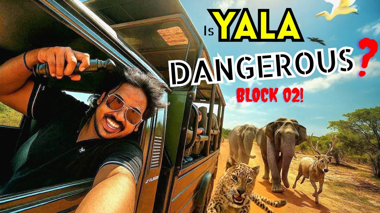 We Survived the Secret Side of Yala යාල | 3 Days Inside Sri Lanka’s Wild Block 2