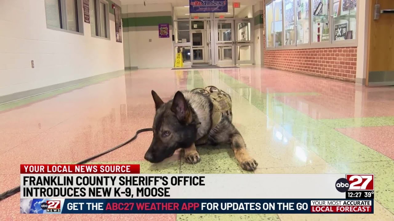 Franklin County Sheriff's Office welcomes new K9
