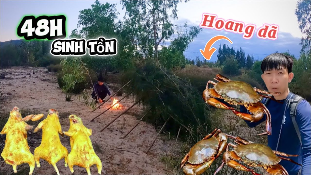 48h | sống trên rừng |xây dựng nơi trú ẩn vào rừng ngập mặn phát hiện ổ cua mộc | camping