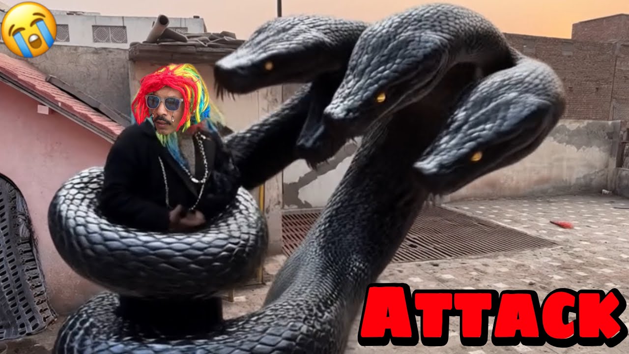 Big Snake Nay Qasai Don Par Attack Kar Diya😰No More😭@PetHouse786 