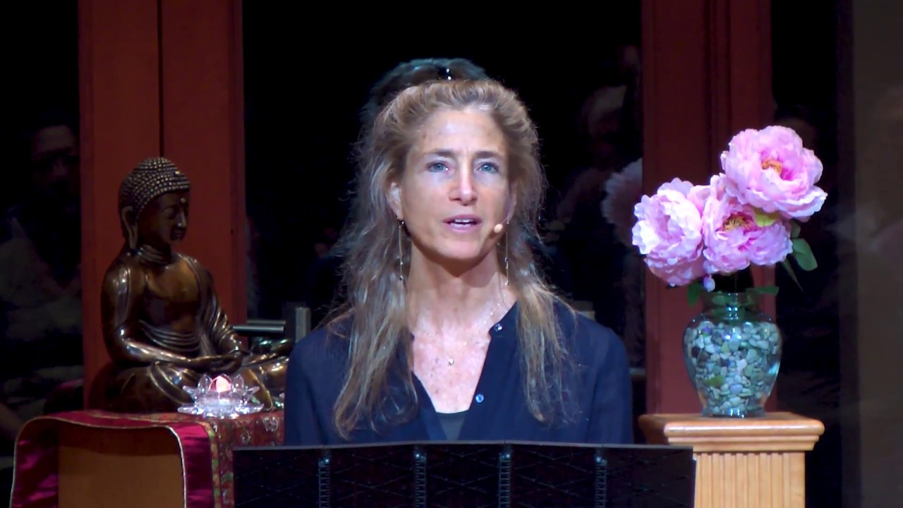 Tara Talks - Reflection: Pausing Just to Be