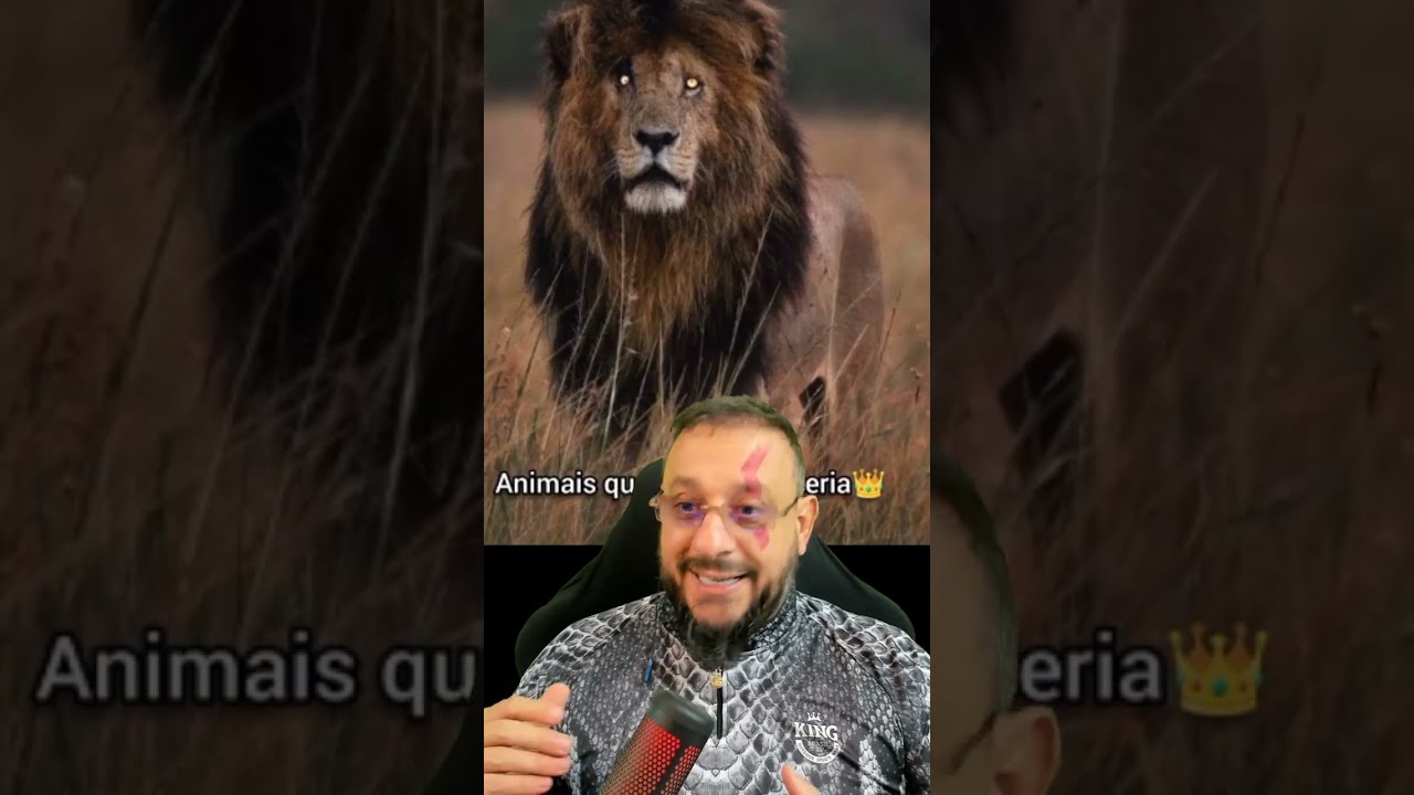 Animais que o Leão venceria