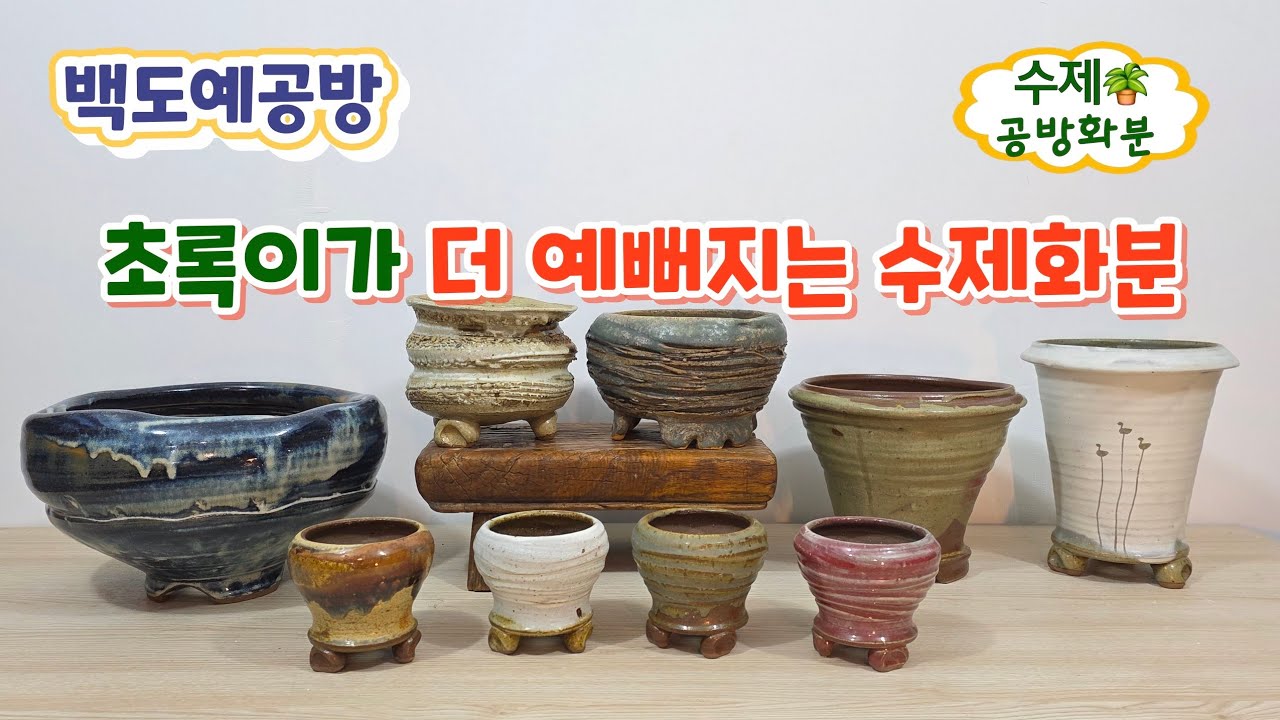 20260119(257회영상)초록이가 좋아하는 화분🪴더 예뻐지는화분🤗#수제공방화분#수제다육화분#수제야생화분#고급화분#분갈이화분#다육이#야생화#아프리카식물#선인장#백도예공방#도예가