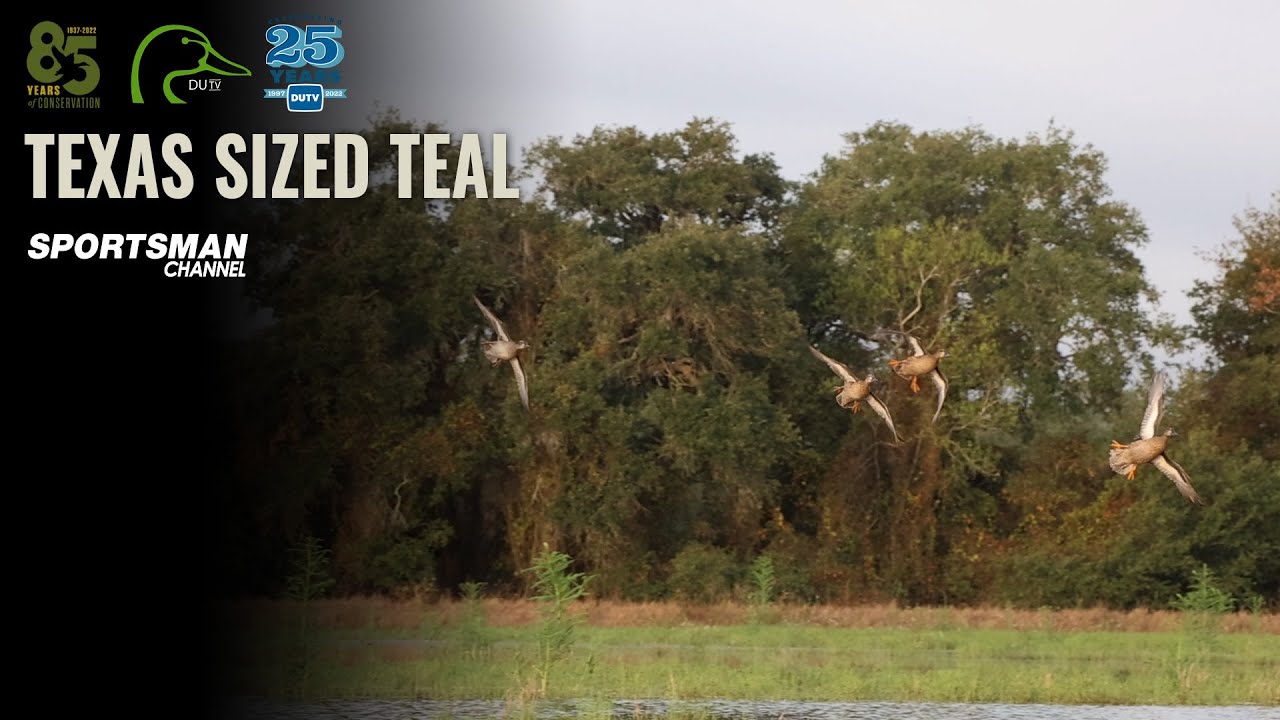 Texas-Sized Teal Duck Hunting | DUTV S27, E1
