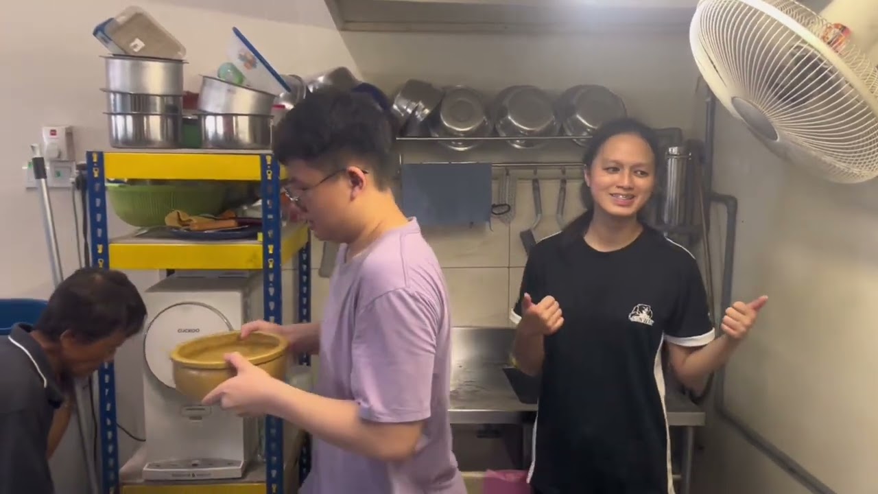 Helping stray cats and dogs in the animal shelter!