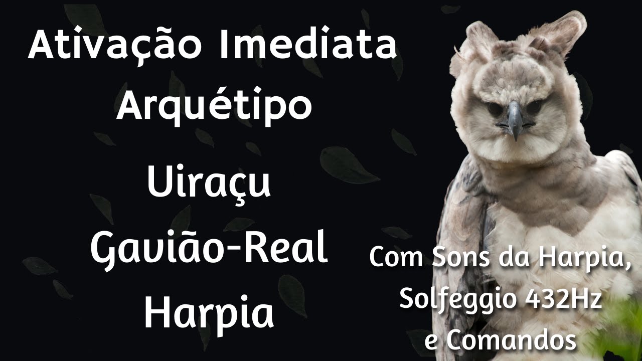 Arquétipo Uiraçu Ativação Imediata - Harpia - Comandos - Solfeggio 432Hz