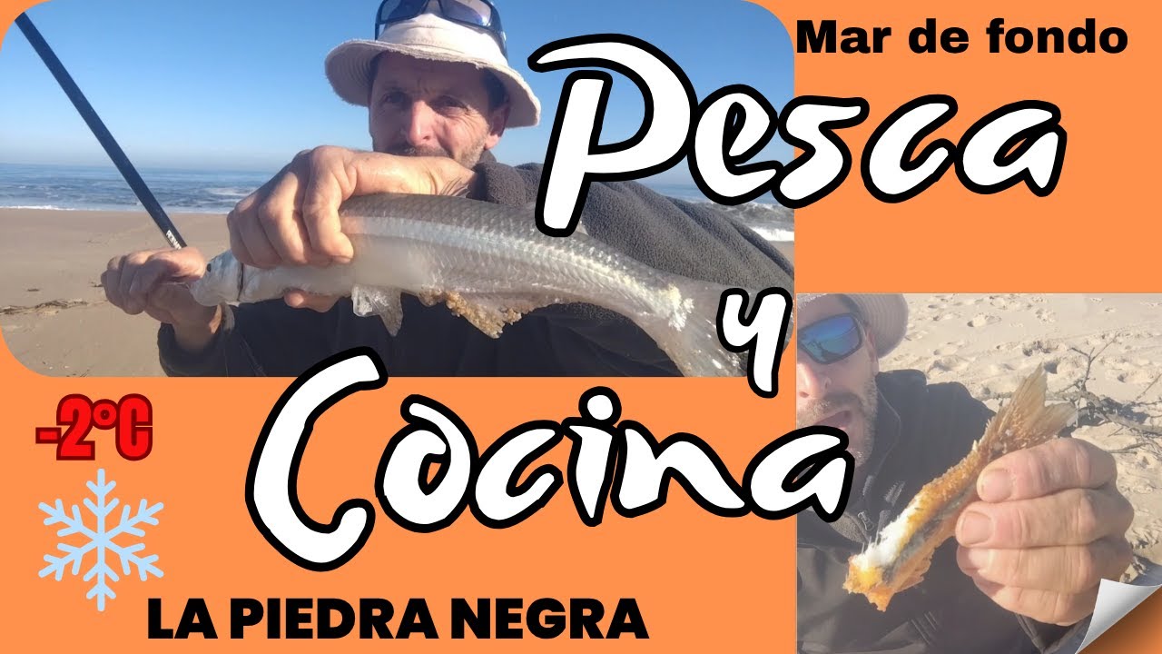 pesca y cocina