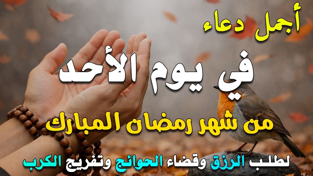دعاء فى يوم الثلاثاء المستجاب دعاء في يوم 6 من شهر رمضان للرزق والشفاء العاجل وقضاء الحوائج 🤲(4k)