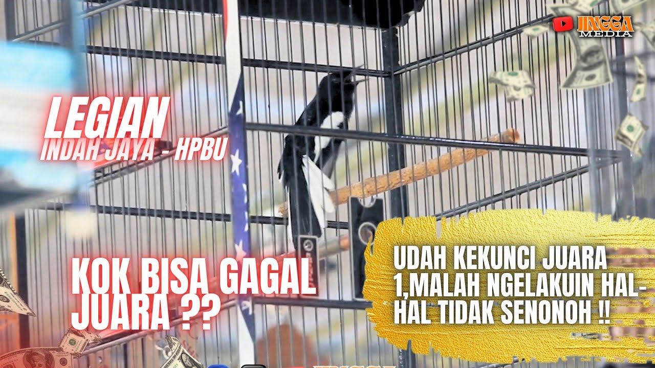 KACER LEGIAN | BURUNG MEWAH YANG GAGAL JUARA | TONTON SAMPAI HABIS!!