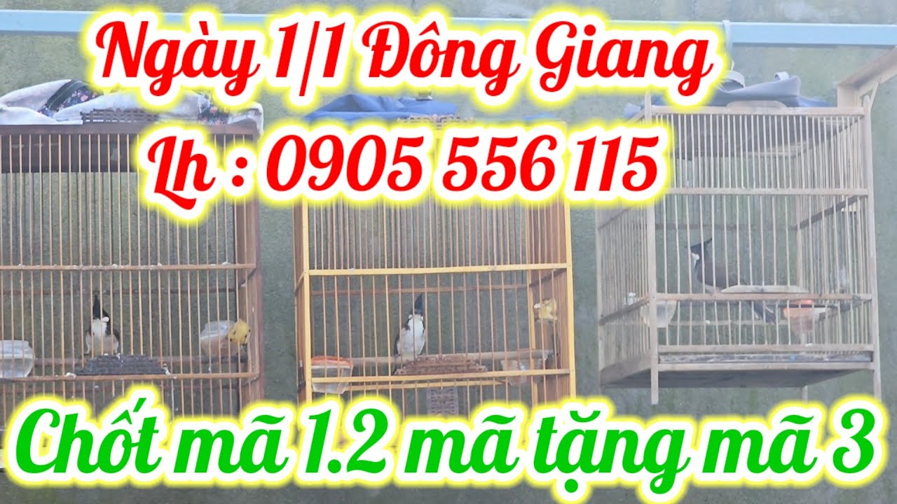đ&atilde; b&aacute;n hết NG&Agrave;Y 1/1 LH:0905556115 (Mr.Phương)|#banchaomao#chaomaohotdau#chaomaoquang#chaomaodauhot