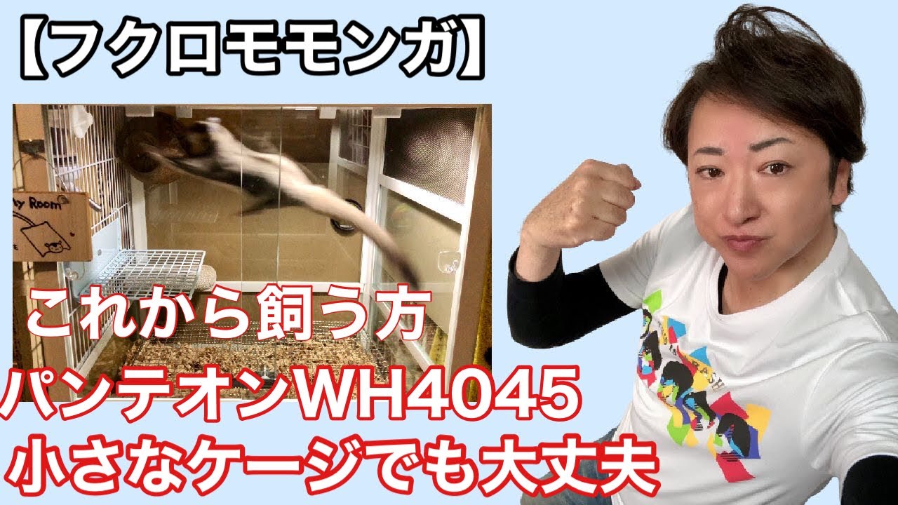 【フクロモモンガ】 これから飼う方へ 我が家のケージレイアウト パンテオンWH4045レビュー