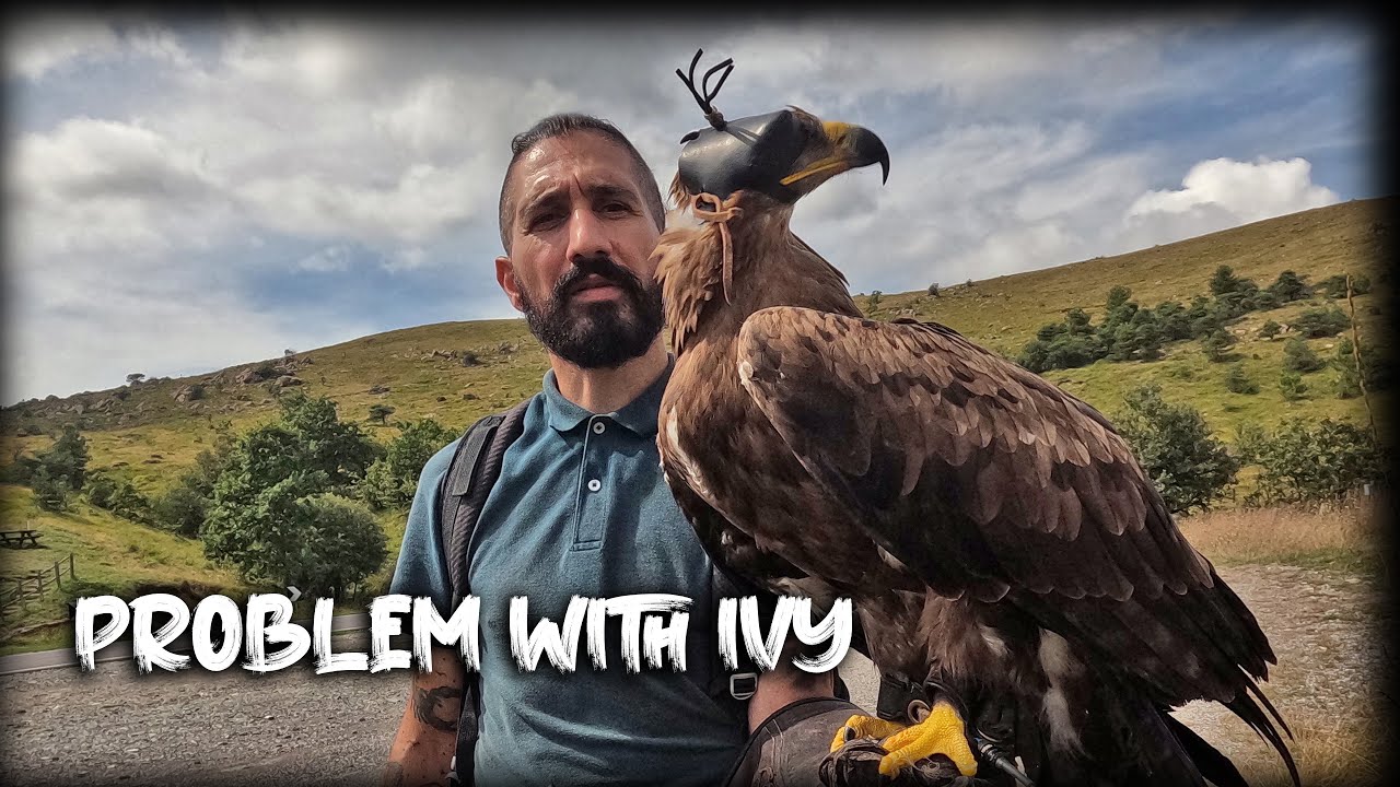 VI SPIEGO I PROBLEMI CON IVY | Problem with my EAGLE